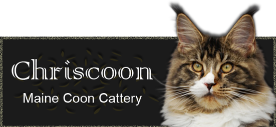 Chriscoon Cattery